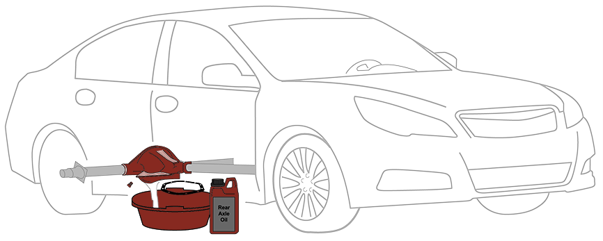 differential fluid change